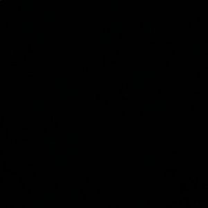 Meet your Posher, Sienna